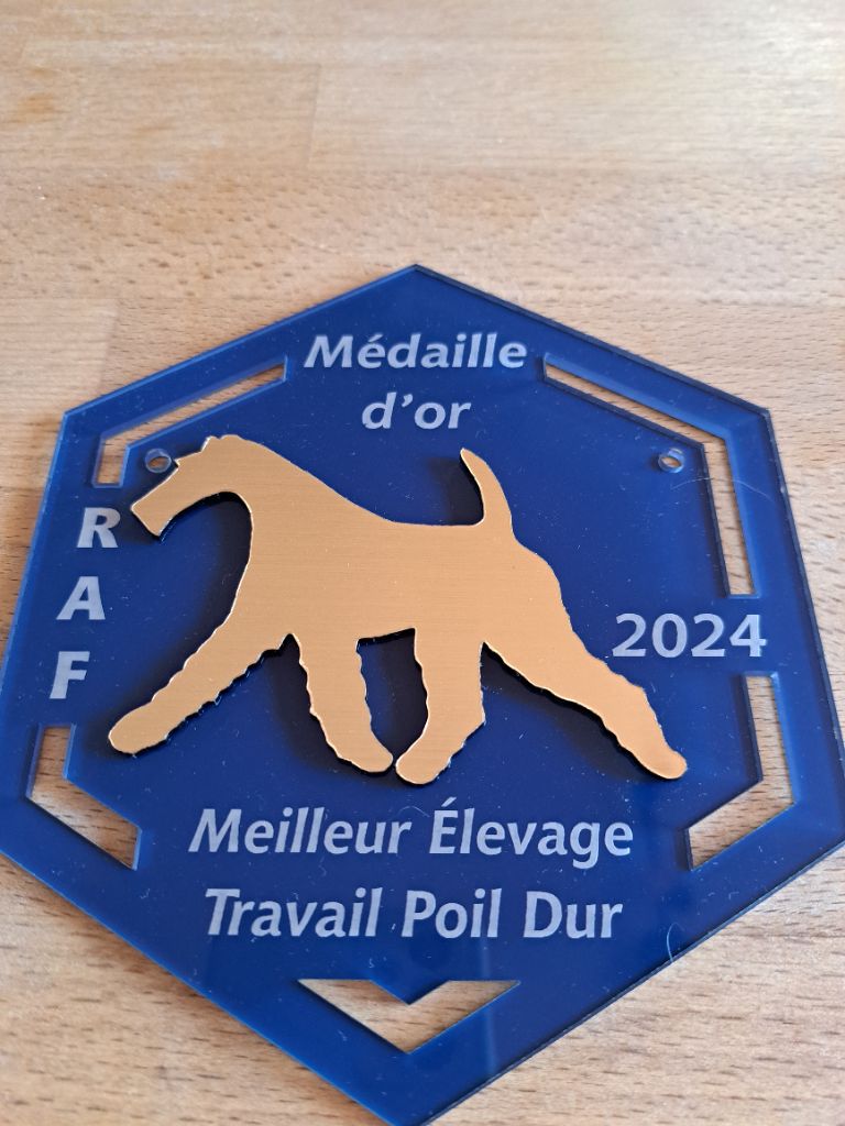 MEILLEUR ELEVAGE TRAVAIL FOX POIL DUR
